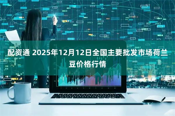 配资通 2025年12月12日全国主要批发市场荷兰豆价格行情