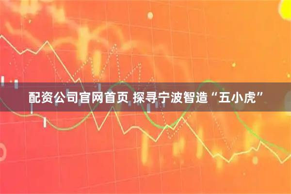 配资公司官网首页 探寻宁波智造“五小虎”