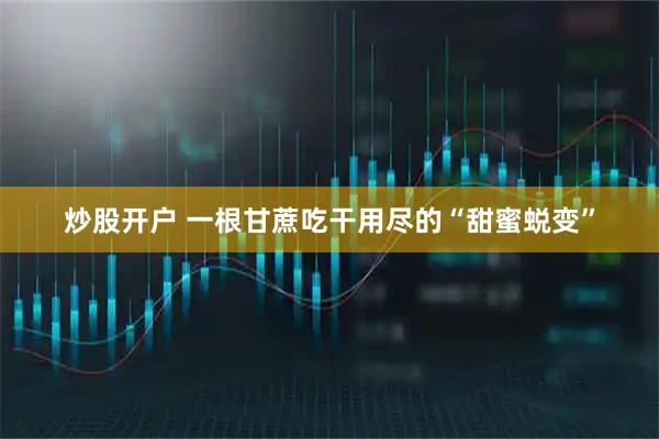 炒股开户 一根甘蔗吃干用尽的“甜蜜蜕变”